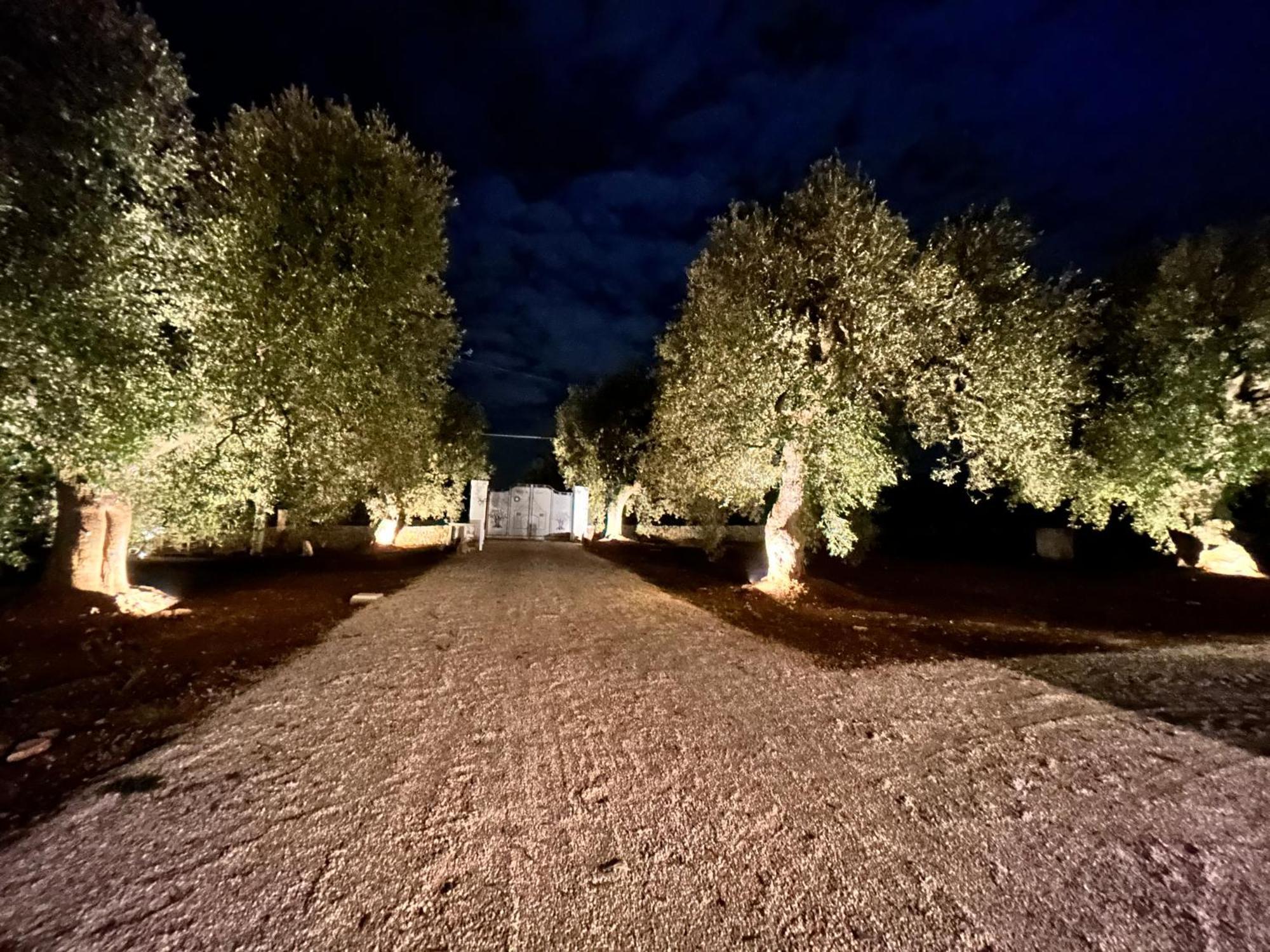 페제 디 그레코 Il Trullo Di Bina B&B 외부 사진